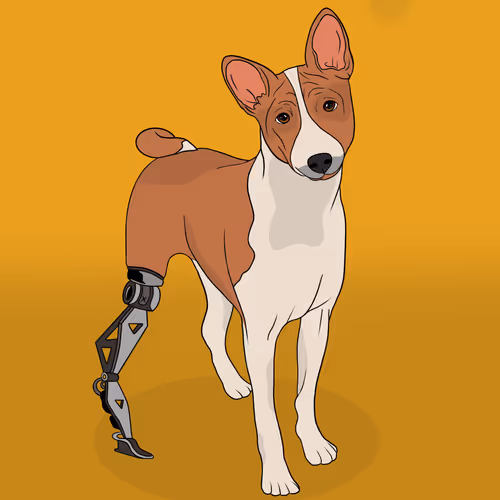 Item #18929025953091685879740265421444029621973902778044225700407145494590936580097 Media