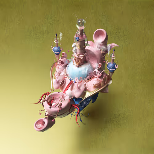 Item #78540710726021648851170552703038898861745238807208248306760367678503956512769 Media