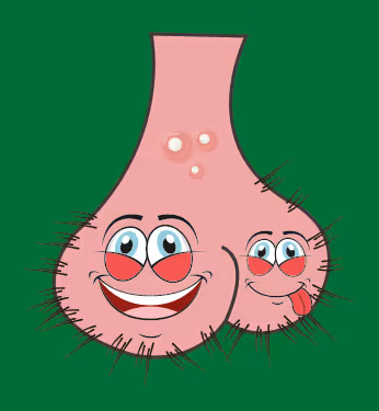 Item #22793047471806318065020766672709763262679883798276267629942525628266085089281 Media