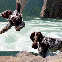 43373215655235232617337336498273214459808807372491093619333212184640856522753