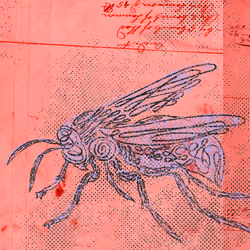 12520096913277121545232673772747947087596815365110293900319642872111649783809