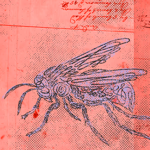 12520096913277121545232673772747947087596815365110293900319642872111649783809