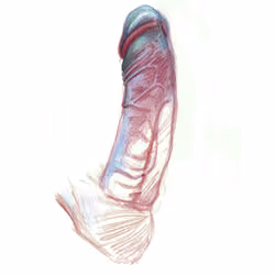 Penis Love