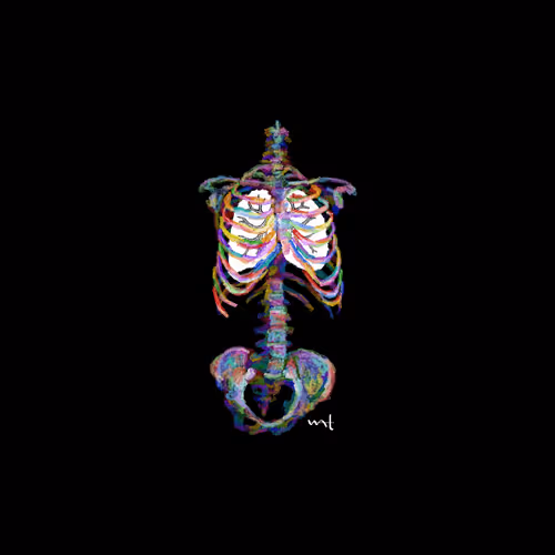 SkeletalArt