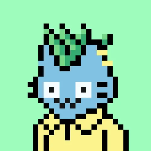 24px