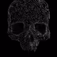 _Naillik_ Collection