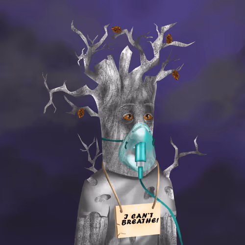 Item #38969088093190670381878411557565580659447067316565611691845276641662209097729 Media