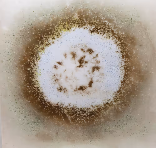 Item #111264774895172989553606282022194155892745764425417346937131400124546670395393 Media