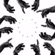 75337489964486720162025728583600064603286027733611774240812882892094351343617