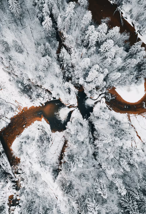 Item #56582553885224441089926055814048090400852822169914013821602265860192178536449 Media