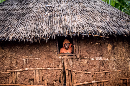 Item #50027882237522295676960542276708360859068113986169674979910833988868585291777 Media