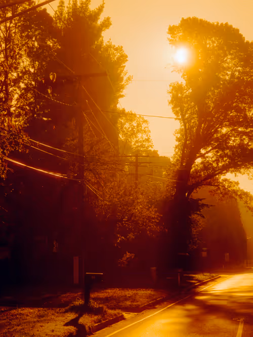 Item #104036062148512439184132714077896509031286887957779838071492283812466749603841 Media