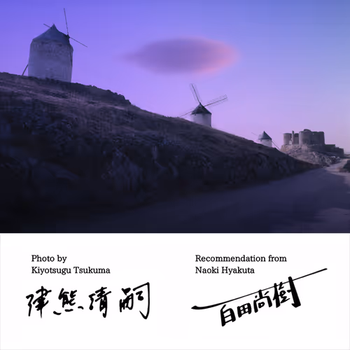 Item #50363599063163147153613145821536573388188757472313701897706766318758524878849 Media