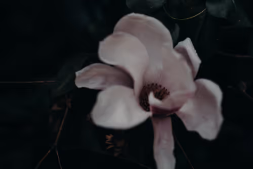 Item #69040073891214831280886932424473030374567714809406336965471043833694634639361 Media