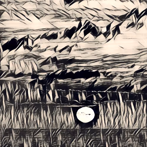 Item #47963283225972574862227584977456908466772138315168611166791309609929508126721 Media