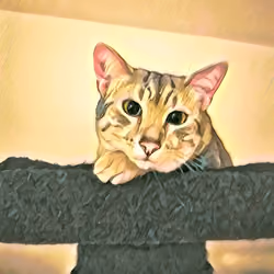V