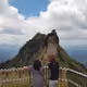 48294766171926575355512039285701991772181010981430000683047343445042796691457
