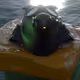 46862511814216260100740605550527305254615857811957513240214396284261611077633