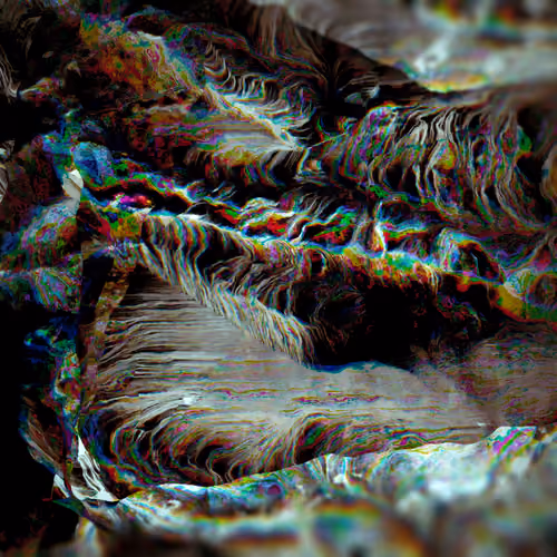 Arrogant Colours, Insecure Generations 71