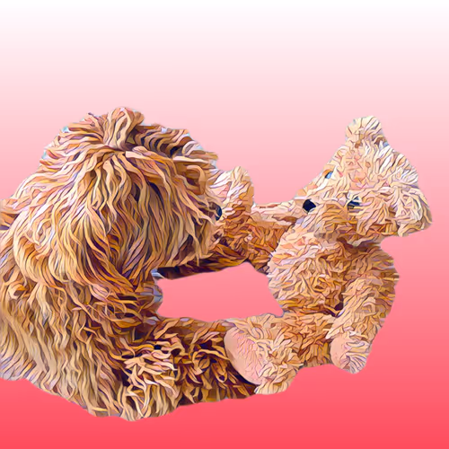 Metaversemaltipoo