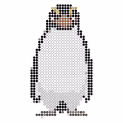 Snares penguin (Eudyptes robustus) #7
