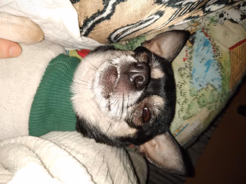 Item #87936365084545024922954846266013406485791365954799981050467889698187316822017 Media