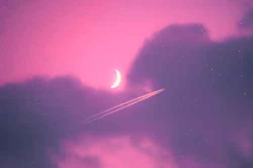 Item #114314630598136600336613347044280633231840283918258614790032306987548918415361 Media