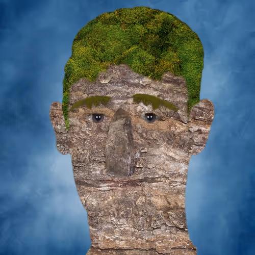 Item #5782214960718758215255672528161104928681644881258912131361621621656562696193 Media