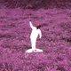 SOLACE by THOUGHTs