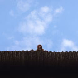 High Above