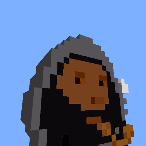 PunkVoxels #7748
