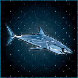 Fish #15 - I. Oxyrinchus 'Mako Shark'