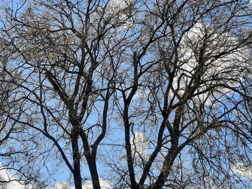 Item #13665938074563914331498291329920780757136253607588816979915017167261436739585 Media