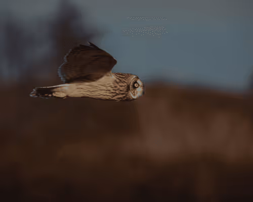 Item #112794486972654068998574830113590073203939841695496406790203129939256263311380 Media