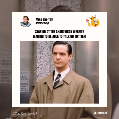 Mikes Crypto Memes