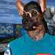 miahighlife Collection