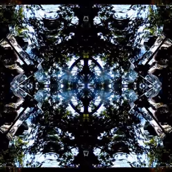 81335810380546067592074661371981709571494442828138360360358581750744892833793