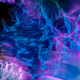 10468617254241132731293290652501733703540119174969672545236722136922439286785