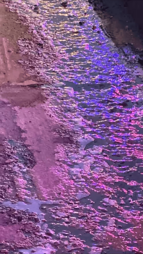 Item #62402000334580523921237358418718502457721815832787791947048085150760574124033 Media