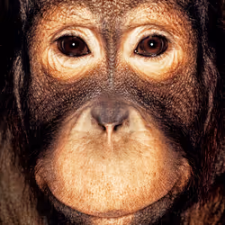 109162157552346088047496633038404394118504199992061596446112929742569129115649