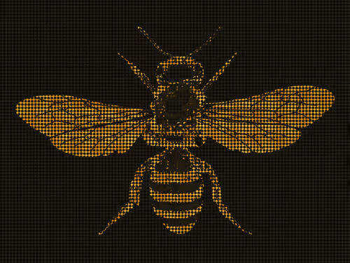 Item #79807254413118000359697984312464081825159362545123639191689039574905821069313 Media