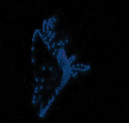 ozgun_c Collection - old V3