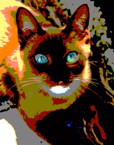 Item #23538819986925566434507765811444276093104658907602947149672917189875812270081 Media