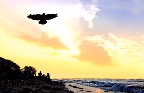 Item #112565134570363660980689344901372222935484239072176647114727973322091715887105 Media