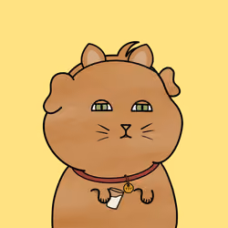 Cat Piggy