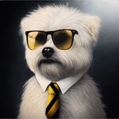 Untitled Collection #3238477232