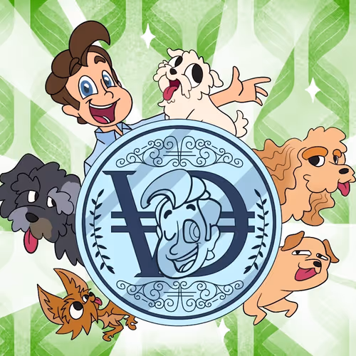 VirtualDan Collection