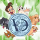 VirtualDan Collection