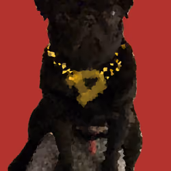 PixiPug Donut The Rapper Red