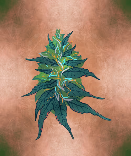 Item #88173920956366532206384104525204378846175092179682069740847406072735771656193 Media